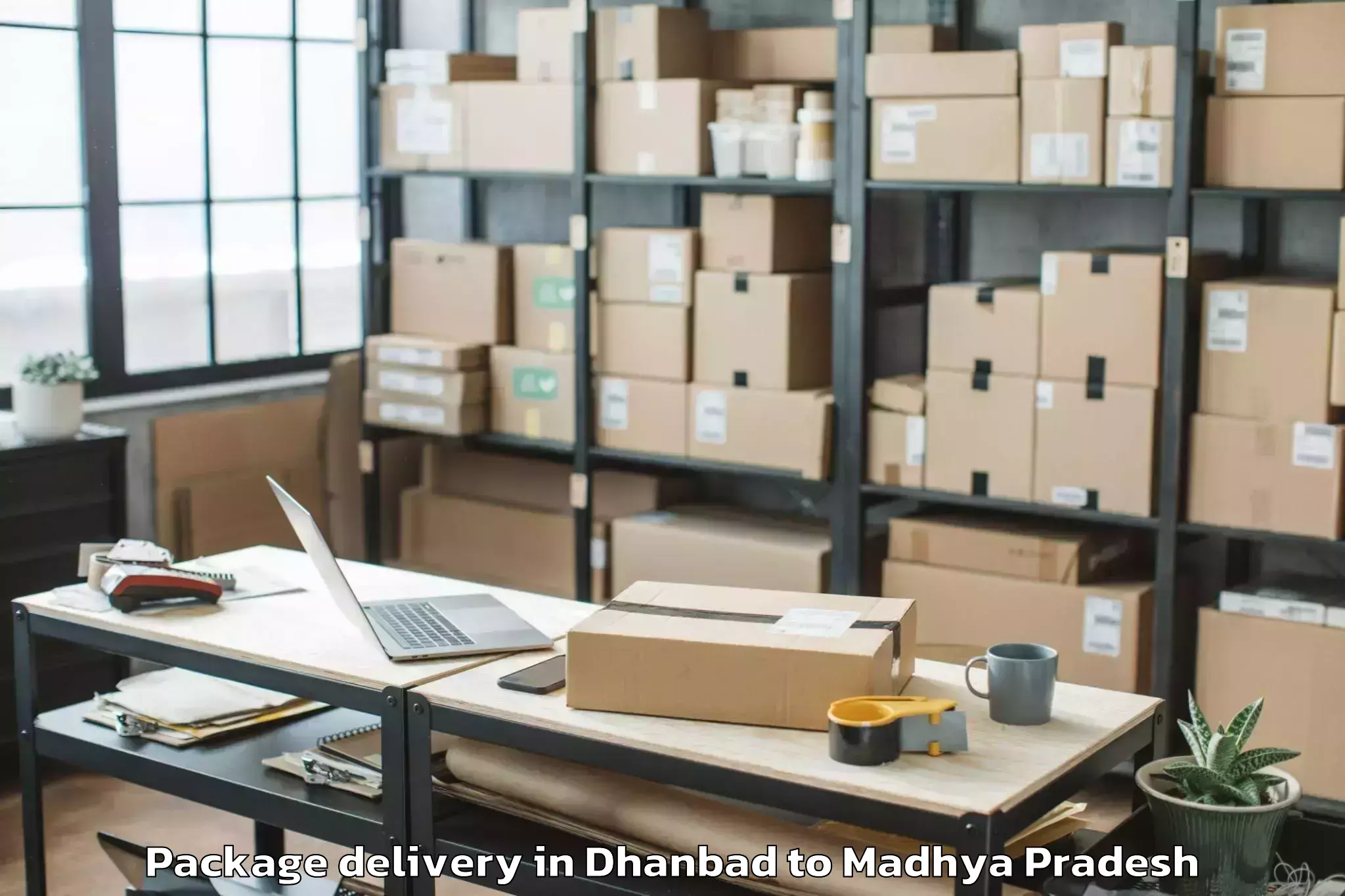 Expert Dhanbad to Thikri Package Delivery